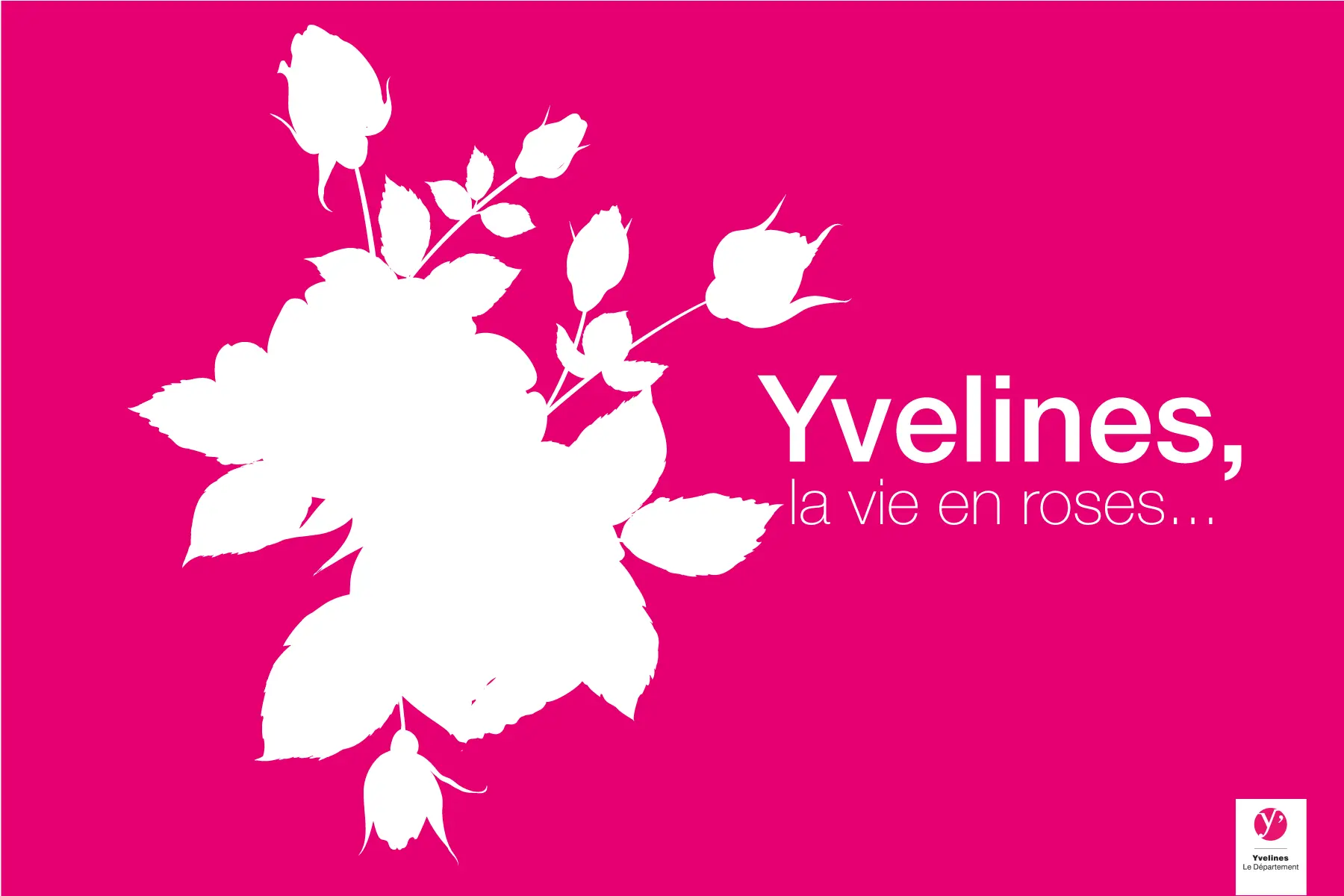 Direction artistique - Département des Yvelines